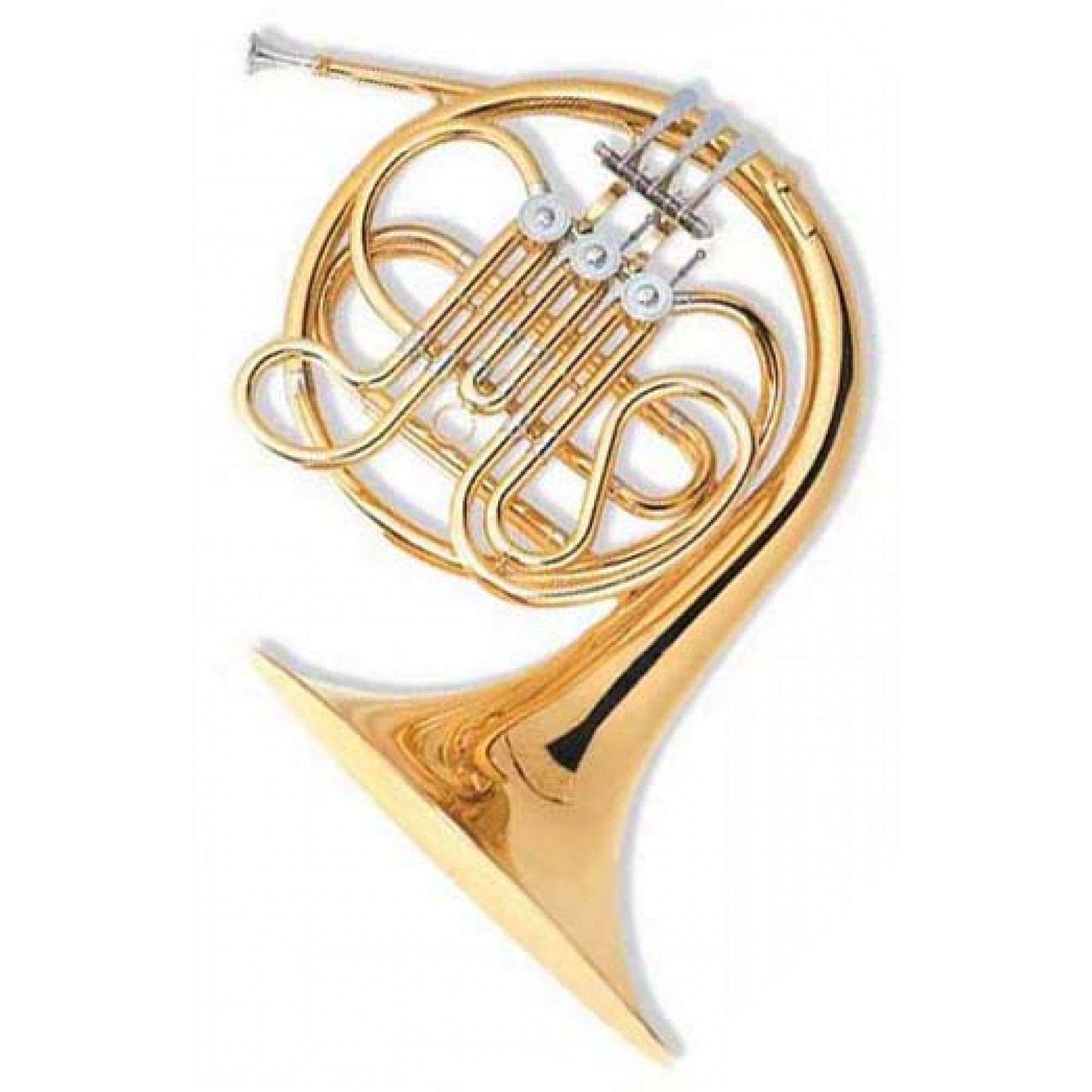 French Horn F